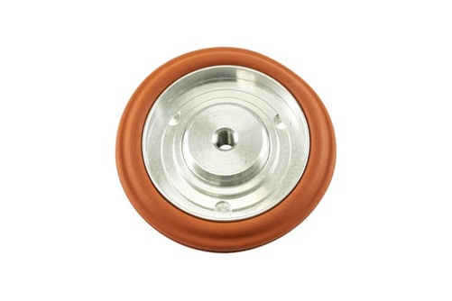 IWG75 TP Diaphragm Assembly Replacement