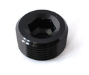 Insexplugg - 1/16 "NPT