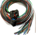 MaxxECU kabling