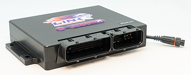 Link ECU BMW Mini Cooper S 2002-2006 Motorstyring