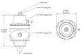 Turbosmart Drivstofftrykkregulator AN10 Lilla