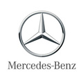 Mercedes Camber plater
